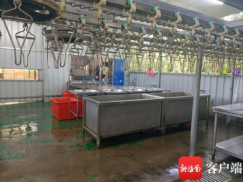 文昌推進(jìn)農(nóng)產(chǎn)品倉儲保鮮冷鏈設(shè)施建設(shè) 農(nóng)村合作社一年增效90萬