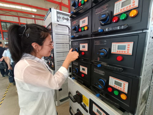 建設(shè)國家區(qū)域中心城市工作一線跟班學(xué)習干部赴長城電氣調(diào)研